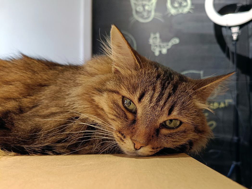 Кирха такая красивая