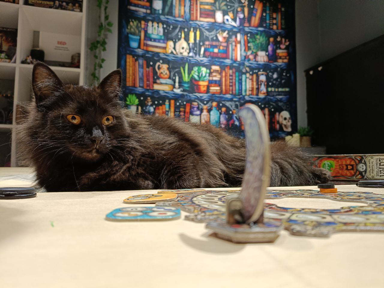 Настольные игры, Подземелья и Драконы в котокафе